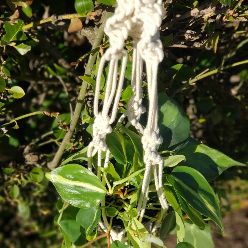 Handmade Macrame Hanger - Picture 4 of 4